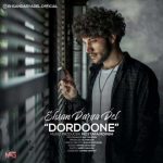 Ehsan Daryadel Dordoone